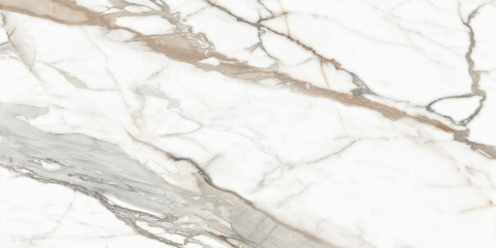 Calacatta Premium
