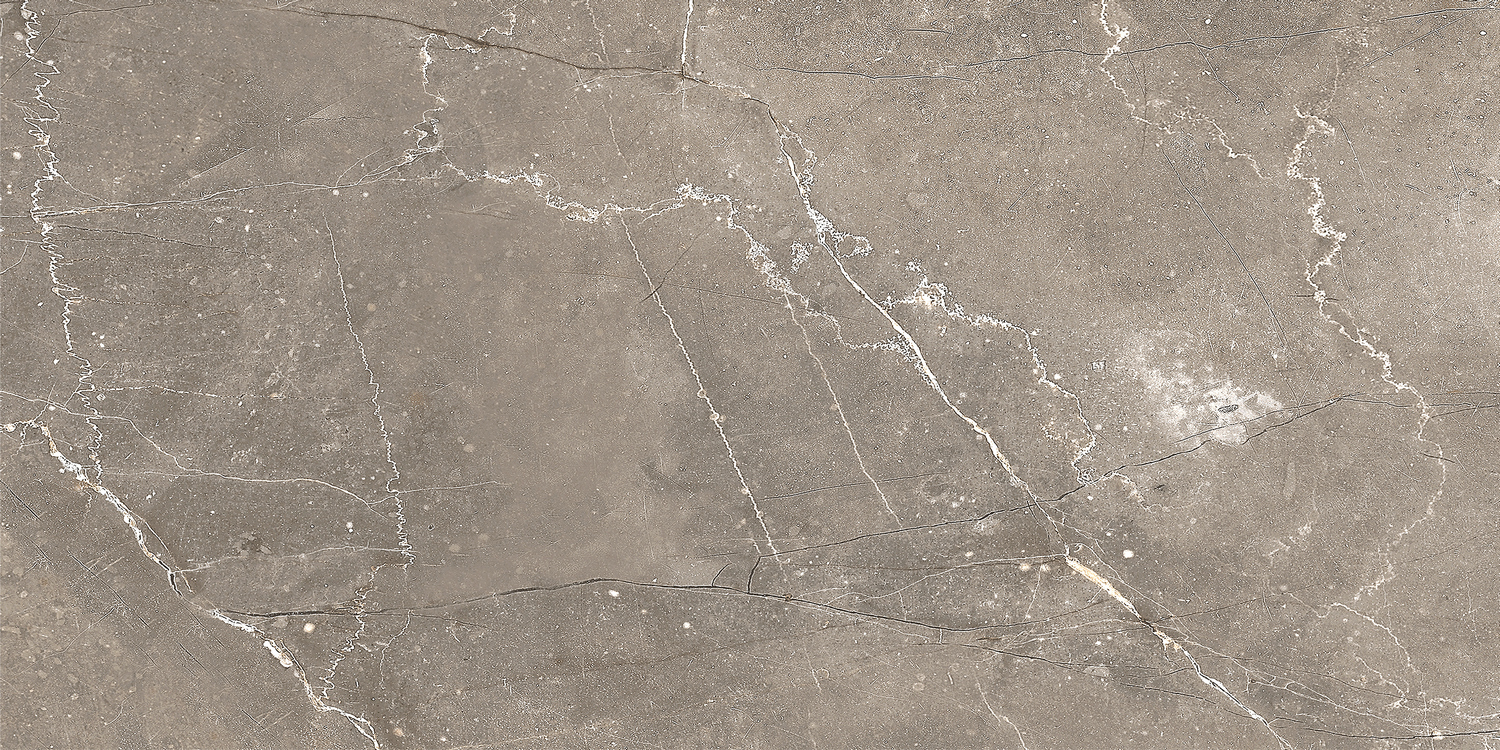 GT122VG Плитка облиц. Siluet GT Кор. 50*25 _ 1 \74,25