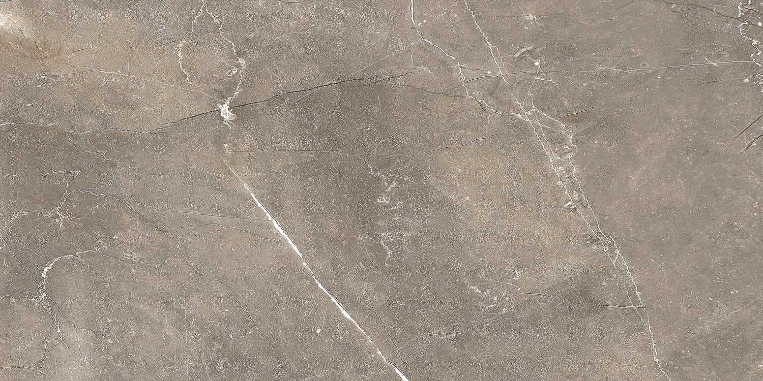 GT122VG Плитка облиц. Siluet GT Кор. 50*25 _ 1 \74,25