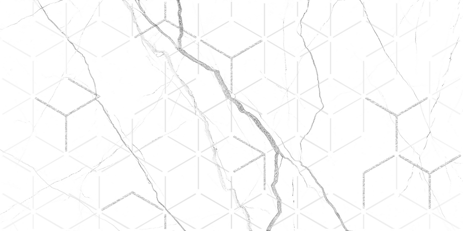 GT124VG Декор кер. Siluet GT Бел. 50*25 _ 1 \7