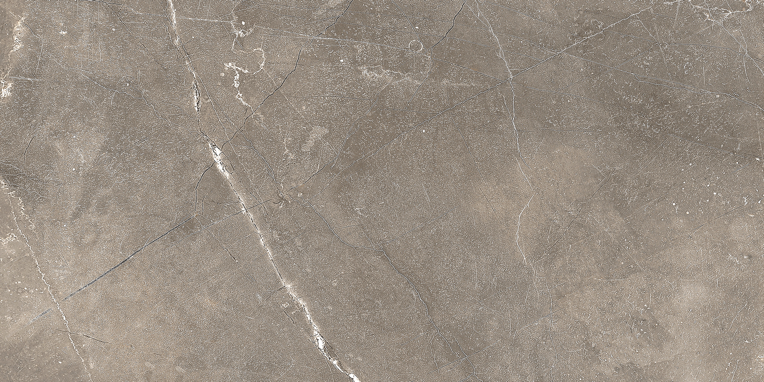 GT122VG Плитка облиц. Siluet GT Кор. 50*25 _ 1 \74,25
