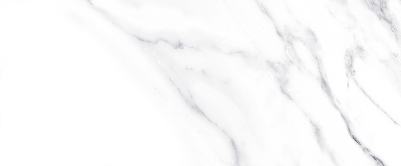 10100001333 Плитка облиц. Anima Бел. 60*25 01_ 1 \57,6