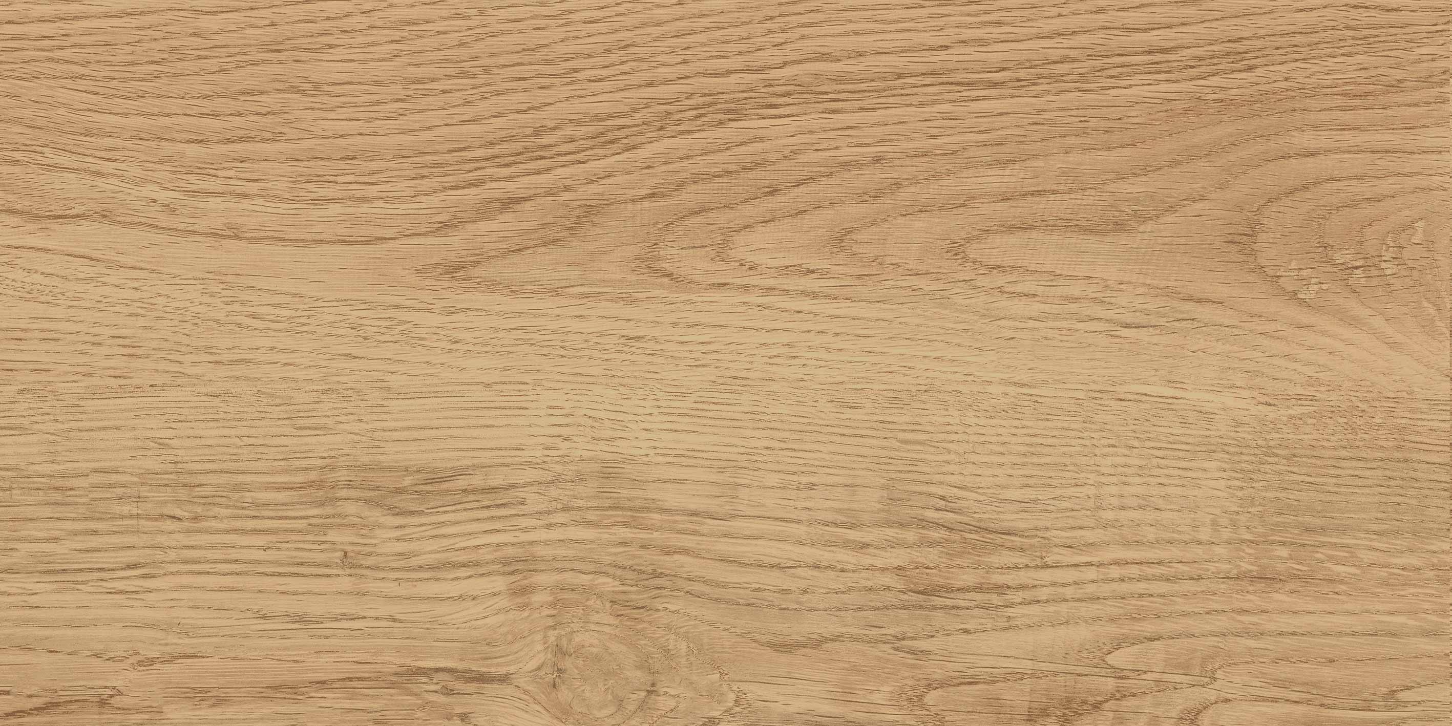 GT220VG Керамогранит Florida_GT Беж. 30x60  1\58,32