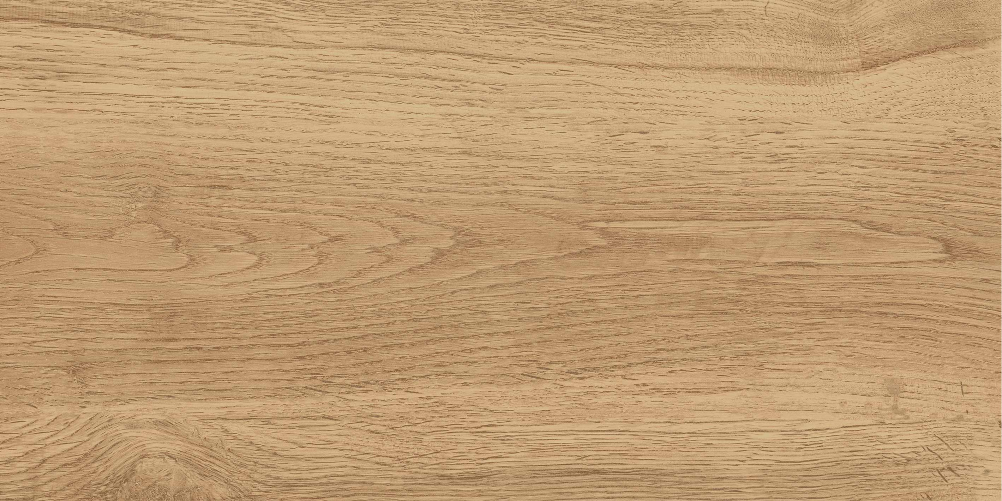 GT220VG Керамогранит Florida_GT Беж. 30x60  1\58,32